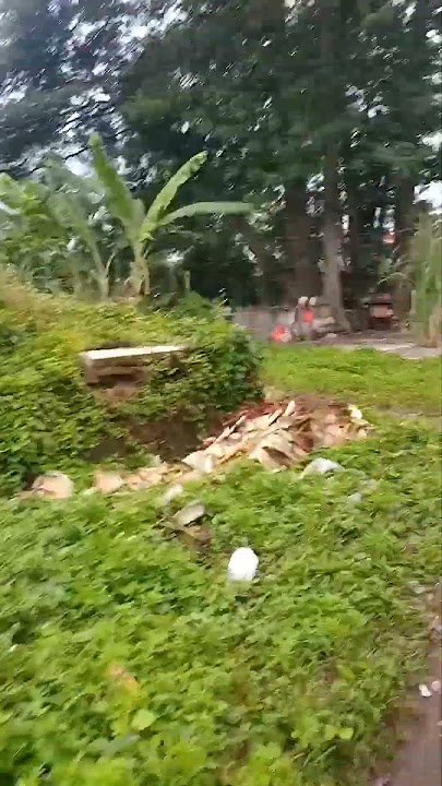 Katanya ada ular di kebun ini… masa sih? #CobaPerhatiinBaikBaik #BikinMerindingDikit #JanganKedip