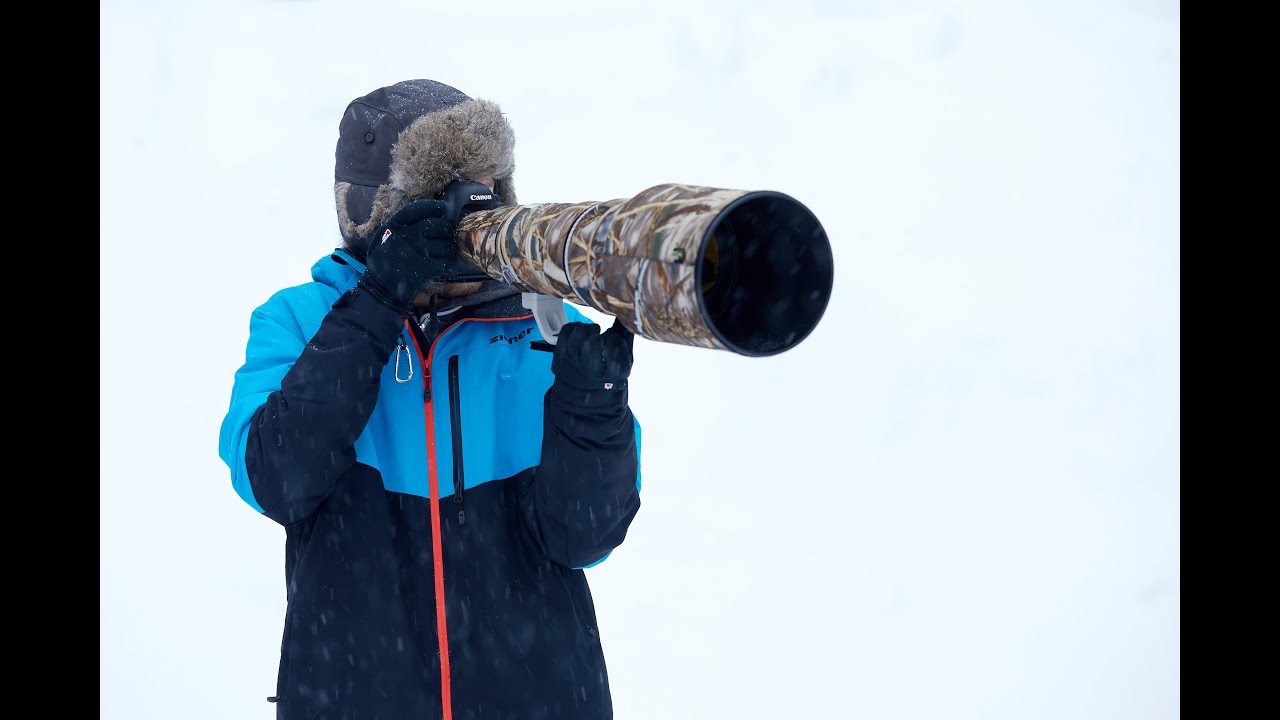 Vogelfotografie Tutorial - Wasseramsel in Skandinavien