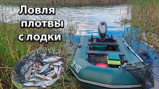 Ловля с лодки на поплавочную удочку. Осеняя ловля плотвы