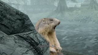 Skyrim NPC after being Wabbajackd