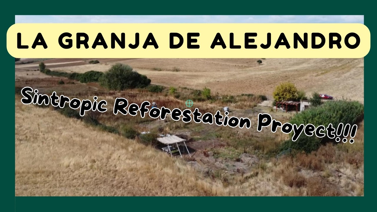 Pilot Farm in Syntropic Forest Restoration La Granja de Alejandro Campaign video