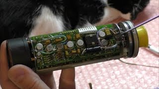 LDM #2: Teardown and reverse engineering of an aircraft EGT. Part 1: analog board