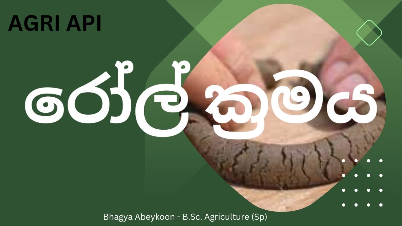 රෝල් ක්‍රමයෙන් වයනය සෙවීම | Agri Api - YouTube