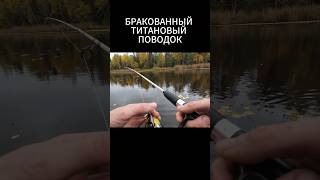 БЛЕСНЫ НА ВЕТЕР #рыбалка #в_лес