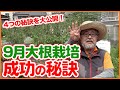 絶対マスターしたい大根を家庭菜園で成功させる方法！９月植えの秋冬野菜を成功させる４つの秘策を徹底解説！【農園ライフ】