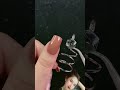 Best Nail Art Designs | Easy &amp; Trendy Nail Tutorial for Beginners