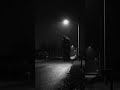 Under The Streetlight