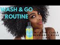 Tutorial || Wash & Go With Curls Blueberry Bliss Line