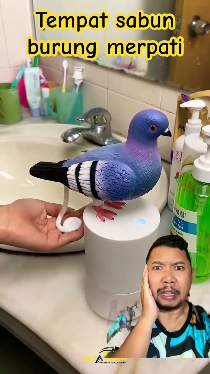 TEMPAT SABUN BURUNG MERPATI!!!?#shortsfeed #shortvideo #funny