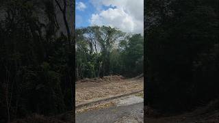 For Sale - The Glebe, St. G