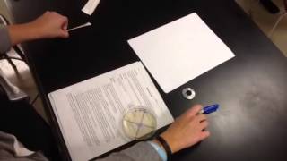 Bacteria Lab Part 1