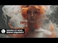 Senses of mind  dream sequence original mix steyoyoke