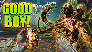 How get a PET DOPPLEGHAST on Shattered Veil (Bo6 Zombies)