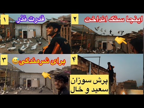 پرش سوزان سعیدوآشوب خانواده اهوازی درمشهد قدرت نذر چالش آماده سازی50کبوترجنگنده چاشنی توسط مهدی لوله