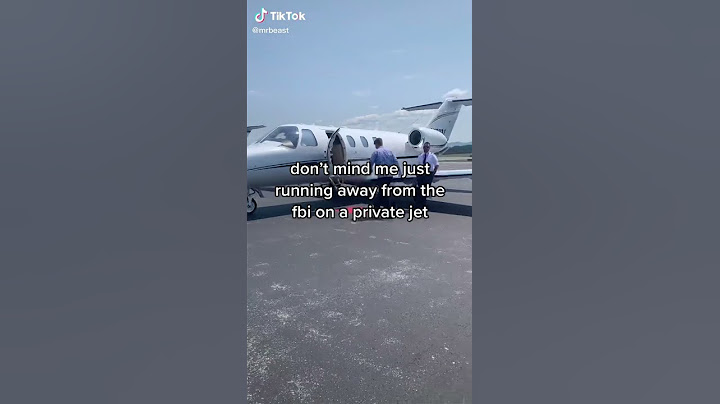 Don't Mind Me Just Running Away from the FBI On A Private Jet - MrBeast