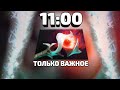 Как собрать орчид к 11:00? Шторм Спирит, GPK, Гайд.