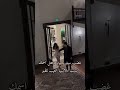 Ш ШЇШ ЩЃШ Щ Ш Щ Щ ШєЩѓЩ Щѓ Ш Ш Ш Ш ШЈЩѓЩЉ ШЁЩ Щ Ш ШЁШі Щ ШµЩЉШ Ш Щ ЩЉШЈШ Ш Щѓ Щ Щ Щ ШЁЩ рџ ћрџ ћрџ ћ Щ Щ Ш Ш Ш Ш ЩЃ Щ Ш Ш Ш рџ ћрџ ћрџ ћ Shorts Short Ш ШЇШ ЩЃШ Щ Ш Щ Щ ШєЩѓЩ Щѓ Ш Ш Ш Ш ШЈЩѓЩЉ ШЁЩ Щ Ш ШЁШі Щ ШµЩЉШ Ш Щ ЩЉШЈШ Ш Щѓ Щ Щ Щ ШЁЩ рџ ћрџ ћрџ ћ Щ Щ Ш Ш Ш Ш ЩЃ Щ Ш Ш Ш рџ ћрџ ћрџ ћ Shorts Short