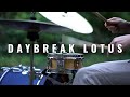 Happy Imaeda - Daybreak Lotus