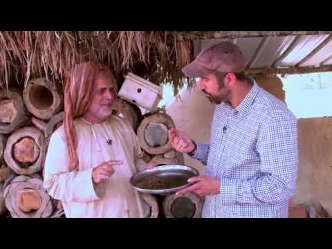 تربية النحل في وادي السحتن سلطنة عمان