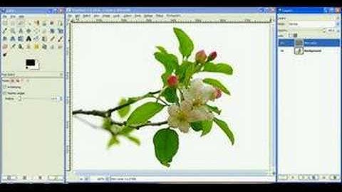 Using Layers in Gimp