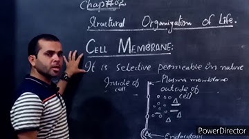 Class 9th - Biology - Video#02 - Topic:Cell Wall to Plastids - Assignments for Copy # 02 - HSS