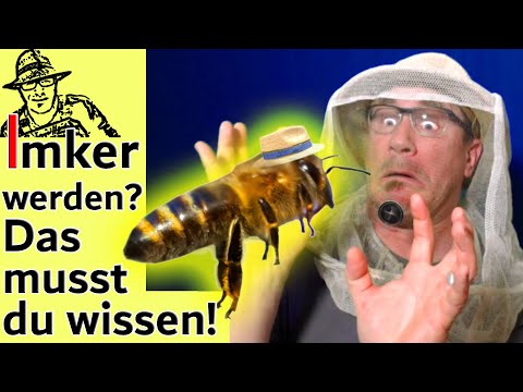 Video: Imkerinventar und Imkereiausrüstung. Was Sie bei der Auswahl von Imkereiausrüstung wissen müssen