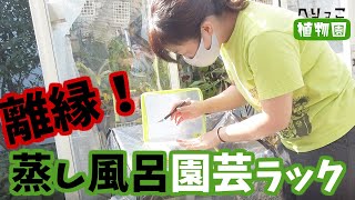 【園芸初心者さん向け冬の準備】ビニール園芸ラック蒸し風呂地獄から越冬植物を守れ！【食虫植物の冬越し】食虫植物の越冬で使えるアイテム「園芸ラック」明日から使えるひと手間をその他園芸用品と共に紹介します！