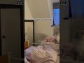 Jabuu visiting his Nanny #catvideos #cute #catlovers #catshorts #petlovers #cutecats