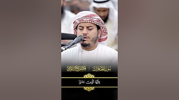 سورة الحجرات  #اكسبلور #المصحف #راحة_نفسية
