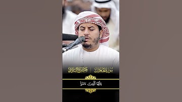سورة الحجرات  #اكسبلور #المصحف #راحة_نفسية