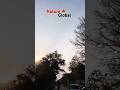 🍁🌿 Nature Global Shorts // Evening view #city #shorts #nature #explorer