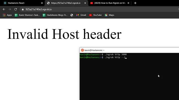 Fix Invalid host header localtunnel on React, Angular
