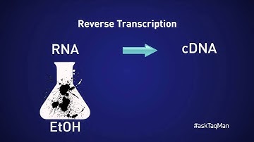 Should You Dilute cDNA for Real-time PCR? -- Ask TaqMan® Ep. 11