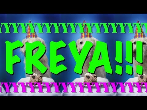 happy-birthday-freya!---epic-happy-birthday-song