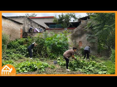 No Experience, No Big Budget—Just Two People Transforming An Abandoned Courtyard Into Paradise