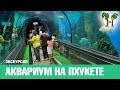 ОКЕАНАРИУМ НА ПХУКЕТЕ, Пхукет патонг, Пхукет карон | PHUKET AQUARIUM