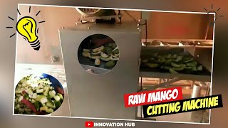 Raw Mango Cutting Machine| Mango Cutting Machine| Cutting Machine| Mechanical Project|