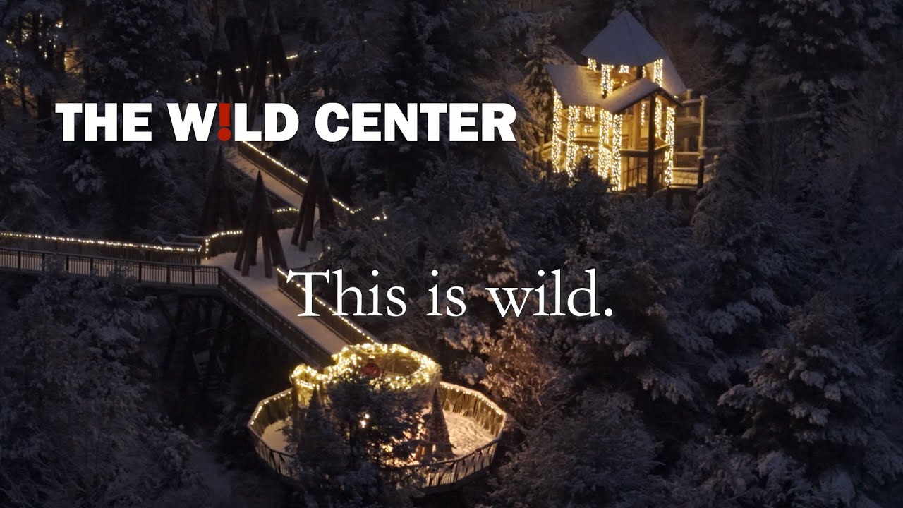 Winter This is Wild 2025 26