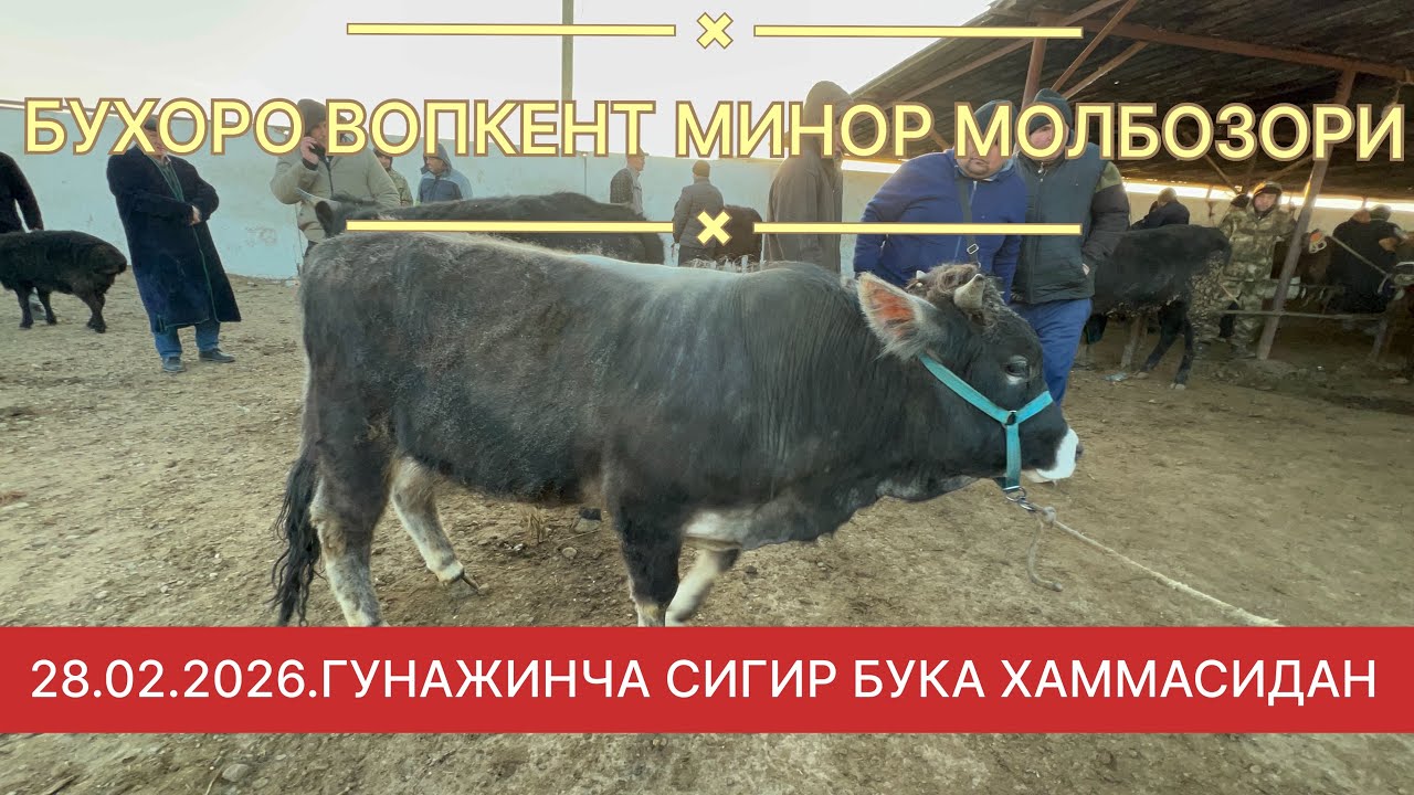 28.02.2026.ВОПКЕНТ МИНОР МОЛБОЗОРИ КАТТА МОЛЛАР ХАММАСИНИ ОБЗОР КИЛДИК