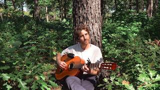 Among the Pines – Soft Ambient Guitar (1 HR) screenshot 4