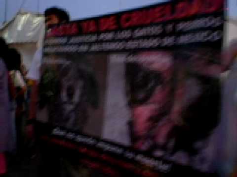 JALTENCO, CRUEL MATANZA DE GATOS Y PERROS INOFENSI...