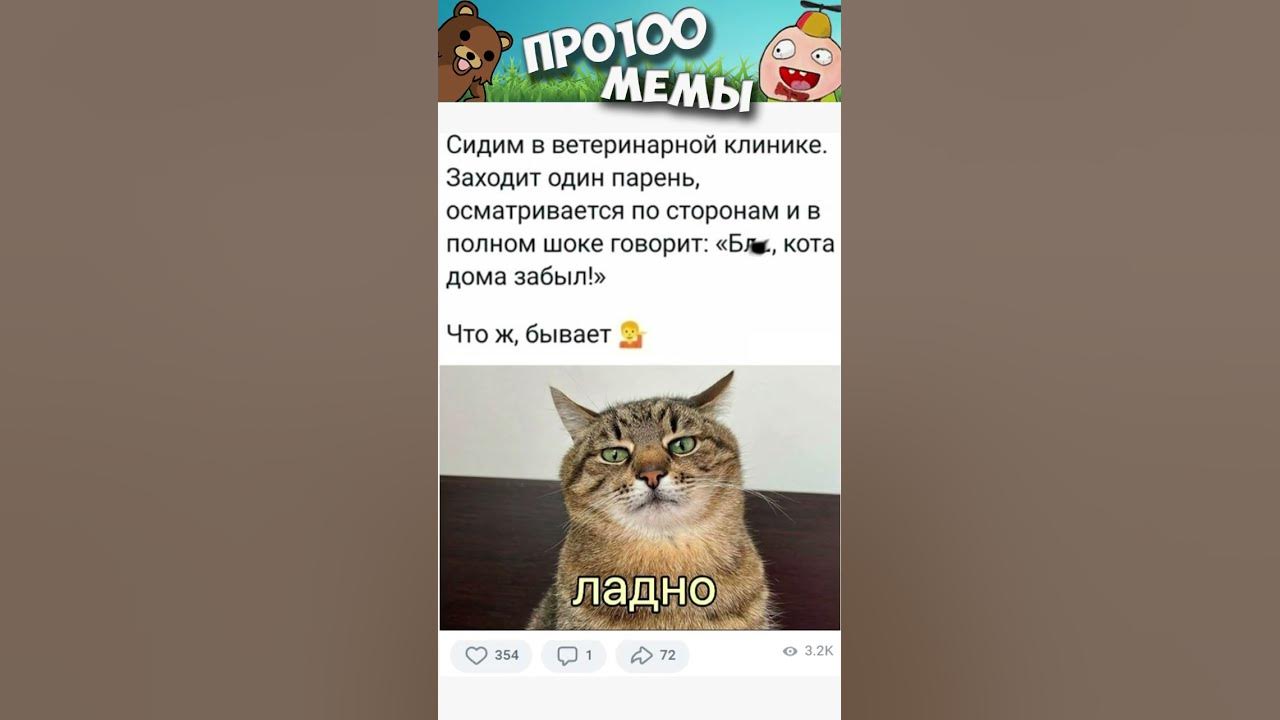 Смешные мемы с котиками и с озвучкой