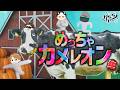 究極最強めっちゃカメレオン生【めっちゃカメレオン】