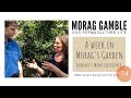 A week in Morag