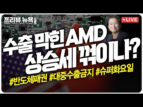 엔비디아 이어 AMD도 대중 수출 금지 | 美 대선 분수령 '슈퍼 화요일’ | EU, 애플에 2조6000억원 과징금 폭탄 | 프리뷰뉴욕