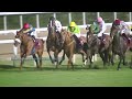 RM 8 Al Rayyan Race 7 -  Umm Bab Cup