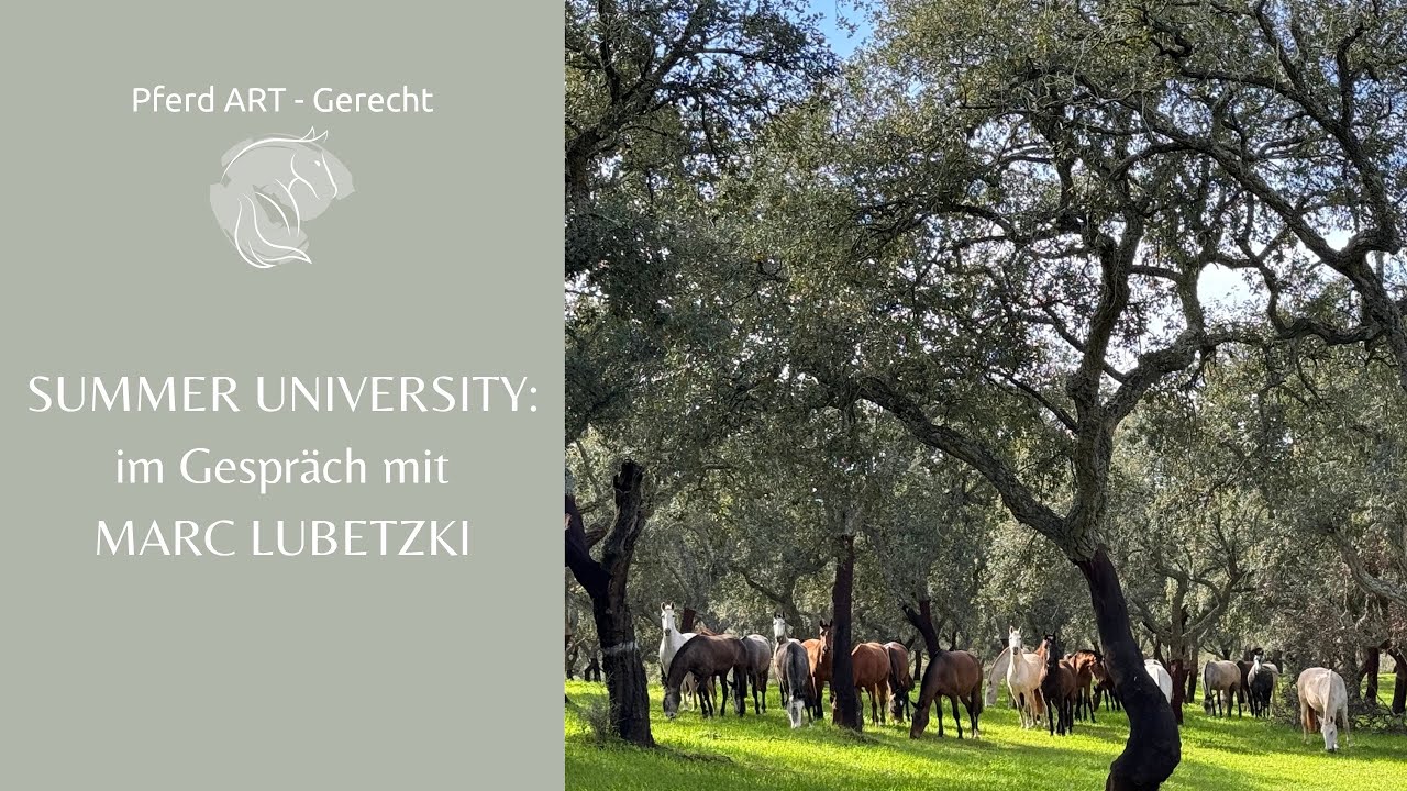 Summer University mit Marc Lubetzki