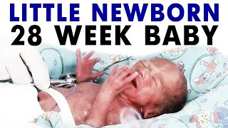 Little newborn premature 28 weeks baby 7 month baby