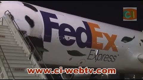 NEWS - BUSINESS - Canadian Prime Minister Welcomes Pandas - March 28, 2013