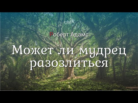 Видео: Можете ли вы разозлиться?